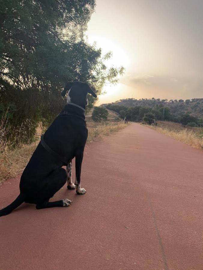 El Venero Βίλα San Nicolás del Puerto Εξωτερικό φωτογραφία